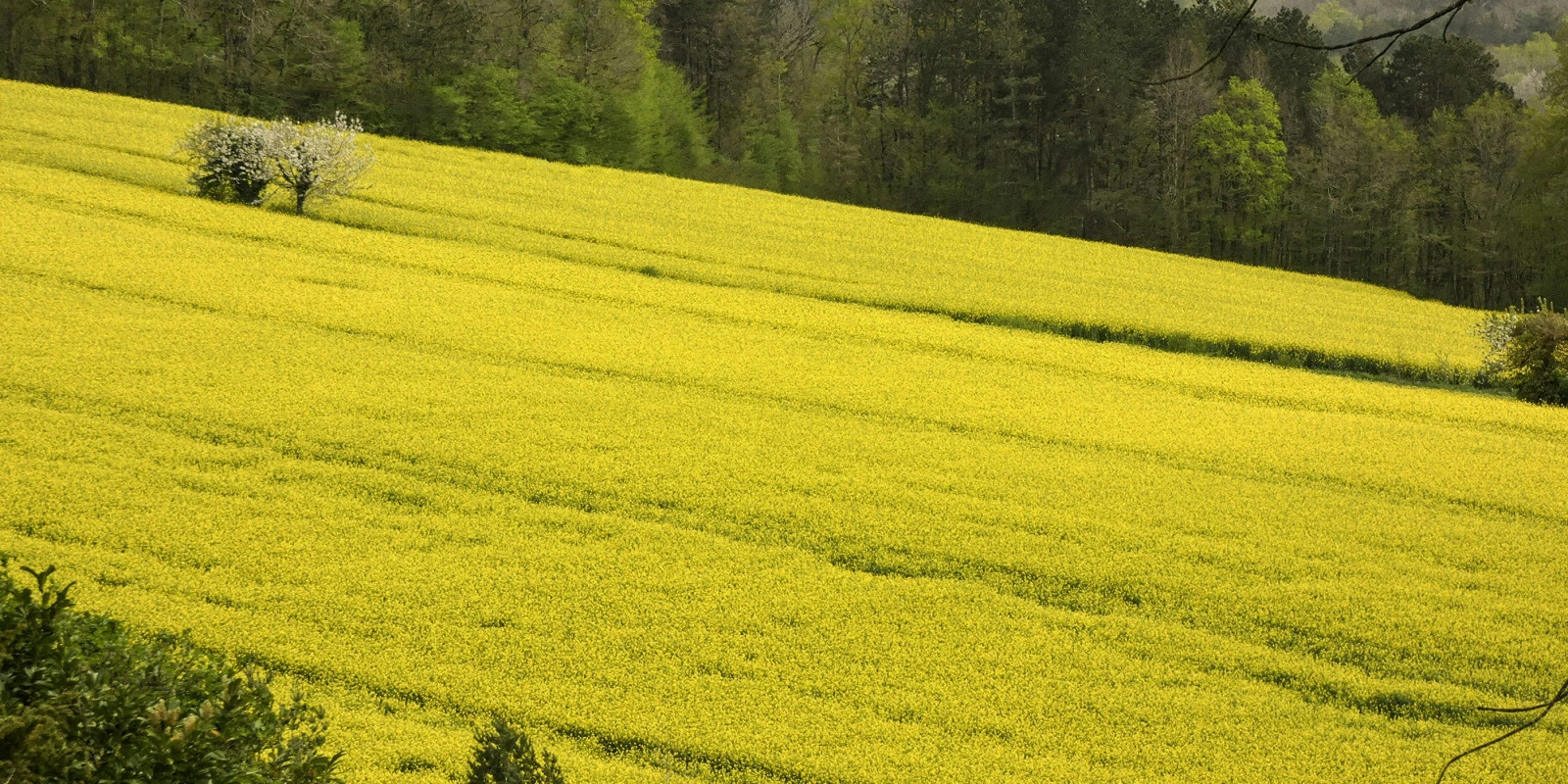 Comment Devenir Enseignant avec une Licence Médation Culturelle Comment Devenir Enseignant avec une Licence Médation Culturelle