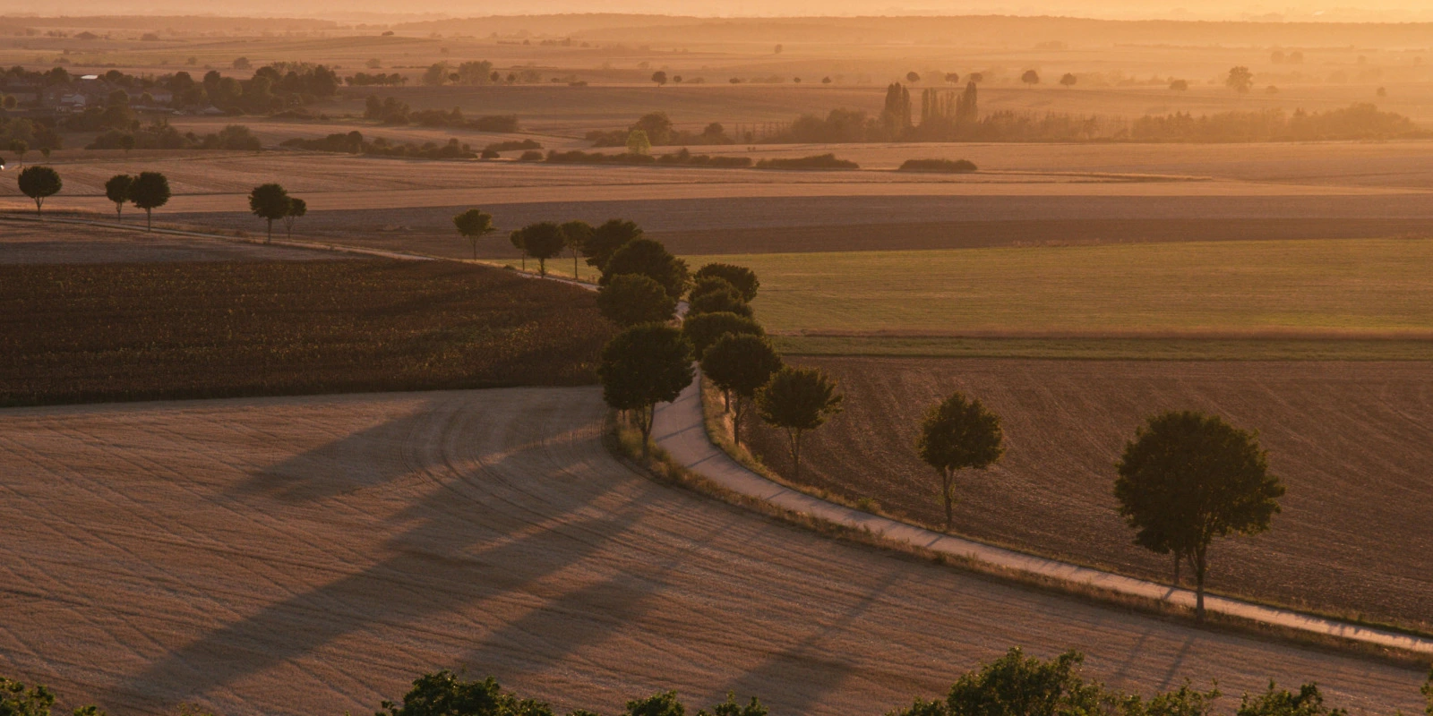 Didactique des Sciences : Méthodes pour Enseigner la Science