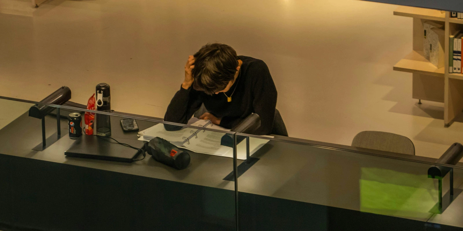 Licence Médation Culturelle : Débouchés Professionnels