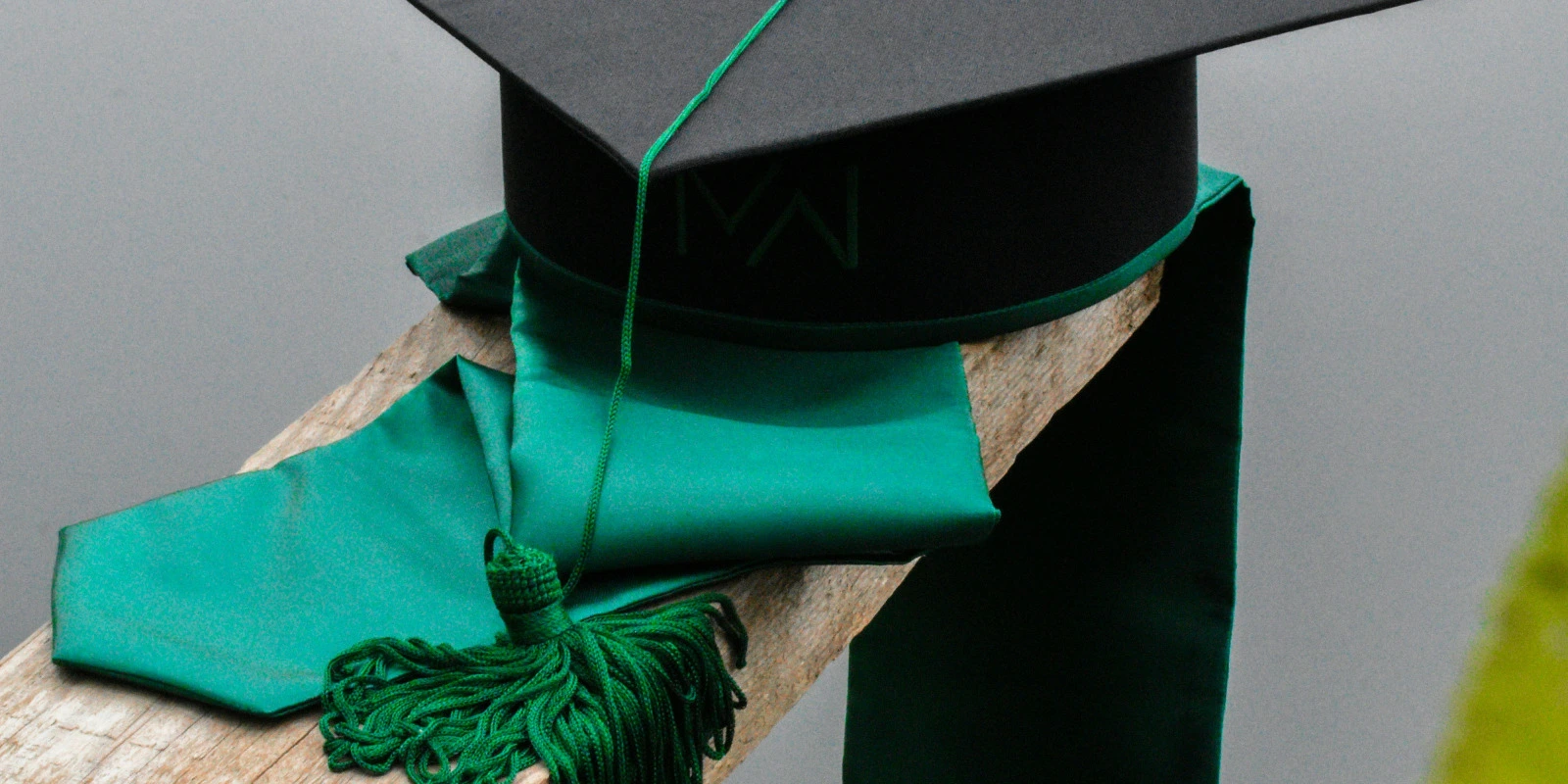 Licence Médation Culturelle Lille : Avis et Expériences