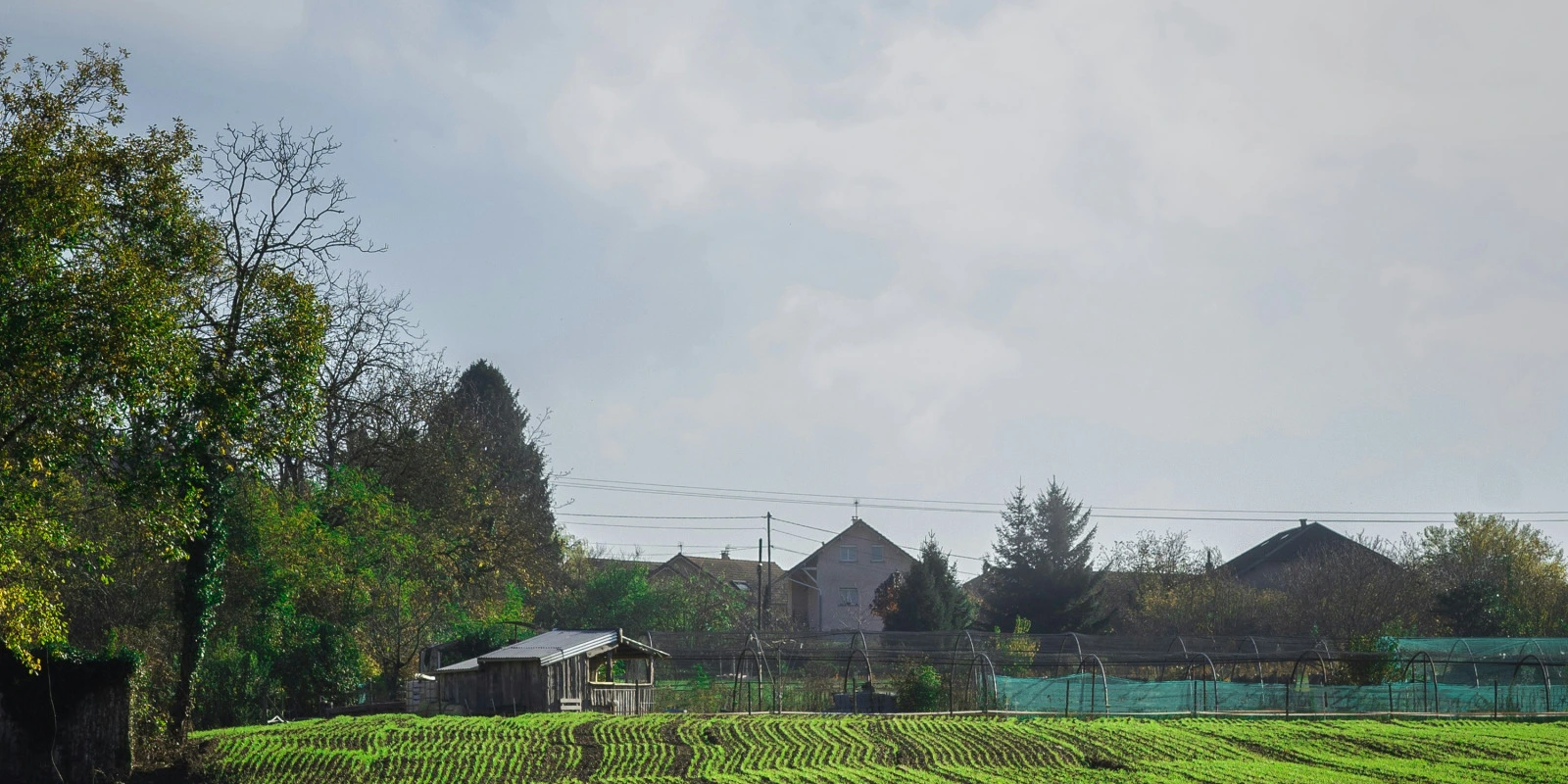 Licence Médation Culturelle Lyon : Programme et Objectifs