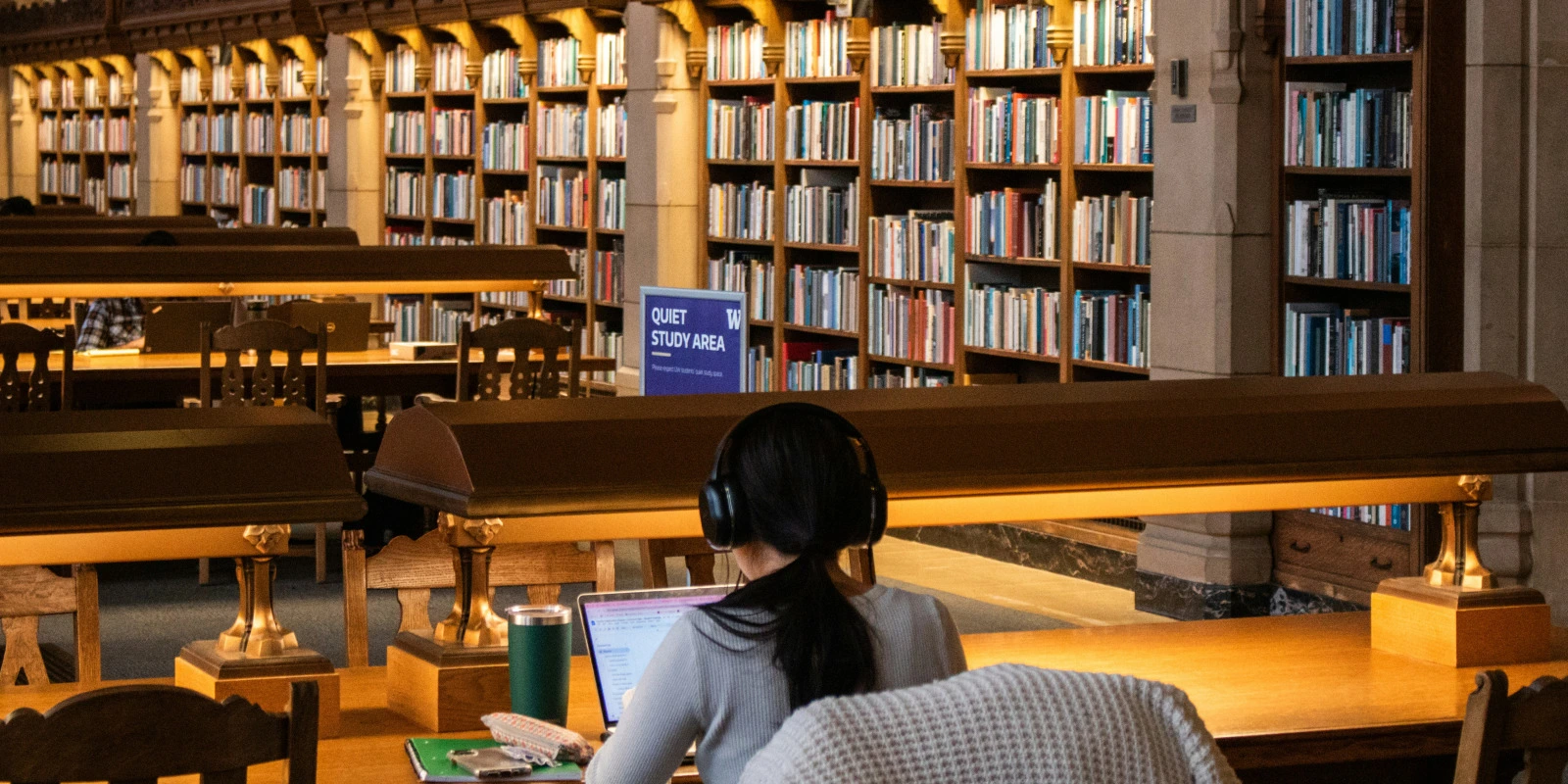 Licence Médation Culturelle Paris 3 Avis : Témoignages