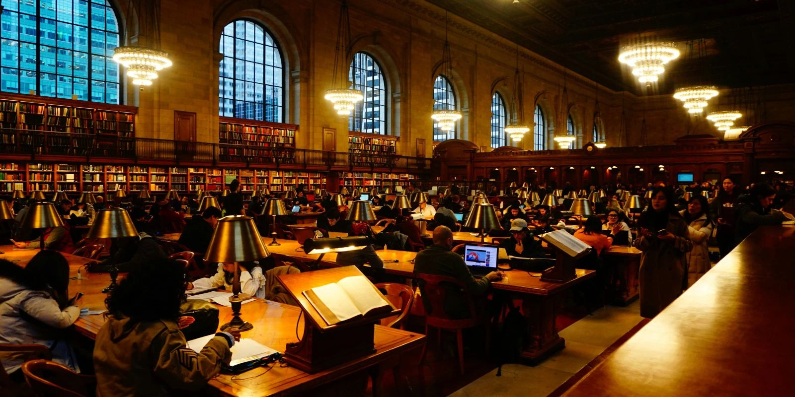 Licence Pro Médiation Culturelle Bordeaux : Programme et Carrière