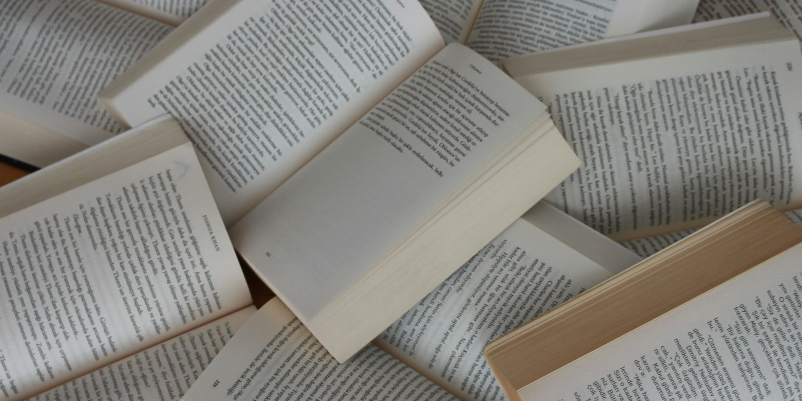 Licence Pro Médiation Culturelle Lyon : Programme et Atouts