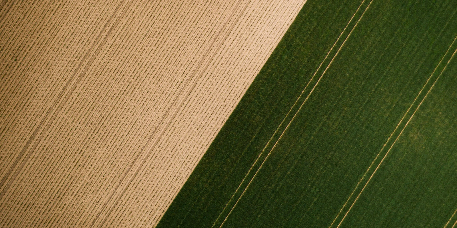 Licence SEM : Carrières en Médation Culturelle et Scientifique