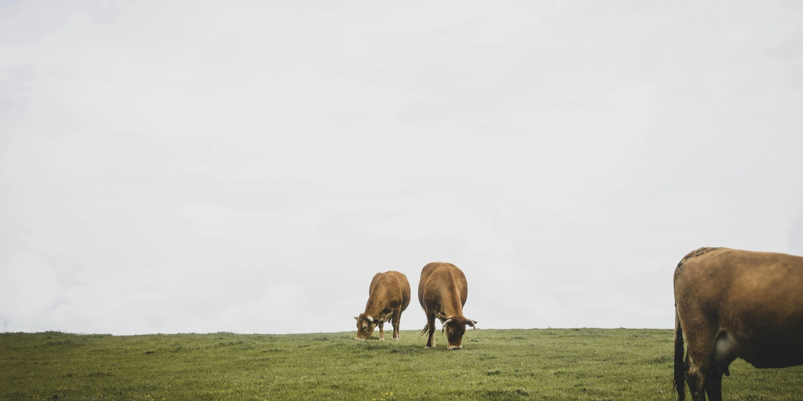Licences SEM : Médation Scientifique et Enseignement
